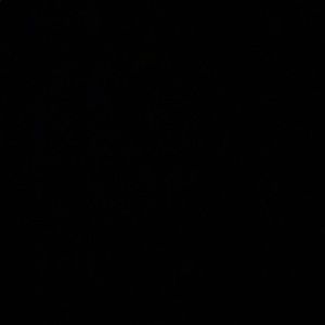 Meet your Posher, Gianna